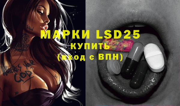 ГАЛЛЮЦИНОГЕННЫЕ ГРИБЫ Вязники